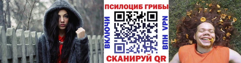 Псилоцибиновые грибы прущие грибы  где продают наркотики  Грязовец 
